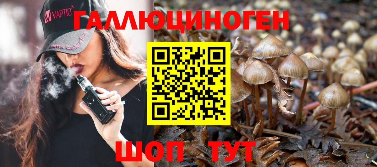 Галлюциногенные грибы Psilocybe  Вход с VPN  продажа наркотиков  Киселёвск  Псилоцибиновые грибы MAGIC MUSHROOMS 